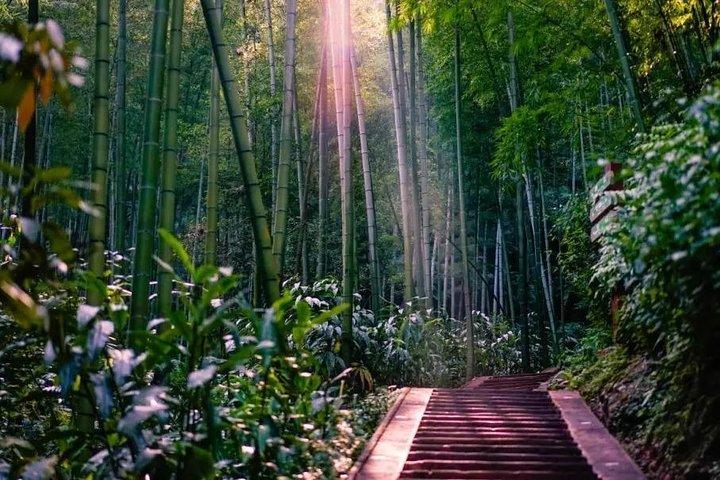 Privat to-dages Shu'nan Bamboo Forest med bondegårdsophold