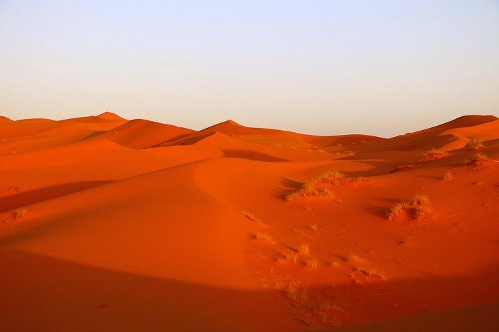 Från Ouarzazate: 6 dagar privat kameltrekking med familjen Berber