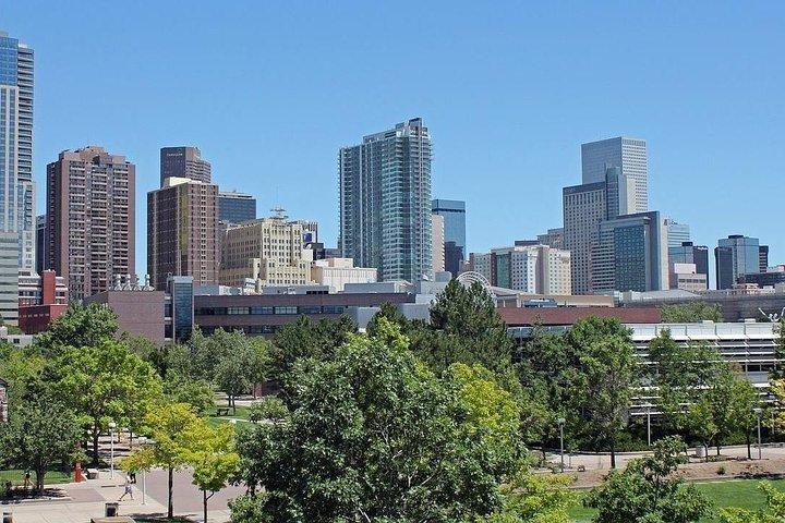 Privat transfer: Denver flygplats DEN till Denver med affärsbil