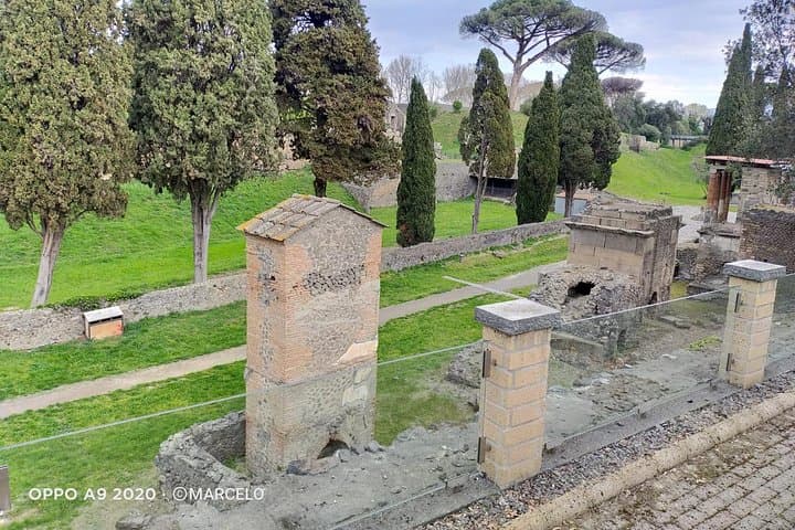 Private Archaeologist service to explore Pompeii's secrets any time ticket incl.