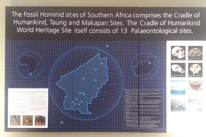 Culla del genere umano maropeng e sterkfontein Day Tours