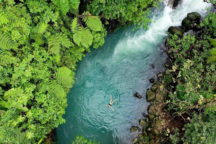 4 in 1ナマケモノ遭遇、リオセレステ、滝、熱帯雨林ツアー