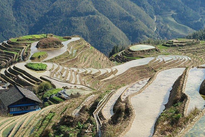 Excursion d'une journée dans les villages de Longji Terrace Fields-Pingan avec le chauffeur anglophone