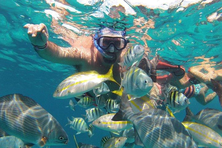 Catamaran Navigation vers isla mujeres open bar inclus