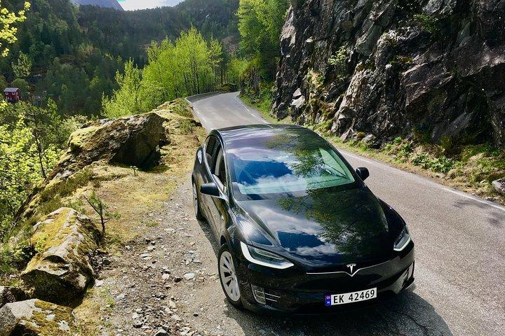 TODOS ELÉTRICOS: tour gratuito de emissão aos fiordes do patrimônio mundial, 10,5 horas