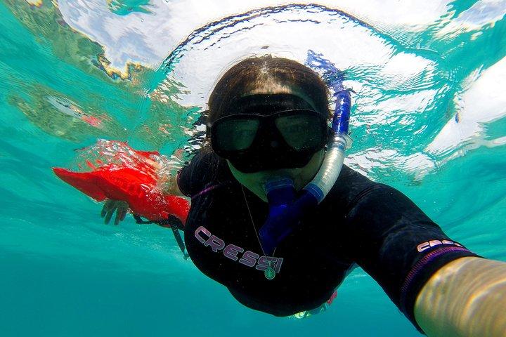 Marietas-eilanden snorkelen en verborgen strand (met beperkingen)
