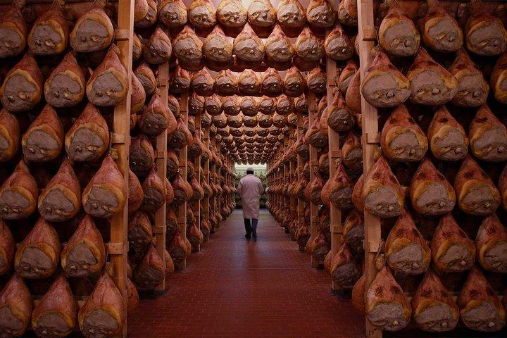 Van Bologna: privétour Parma Parmezaanse kaas en ham