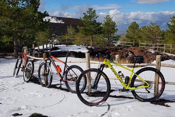 Excursion en VTT de 5 heures sur l'Etna