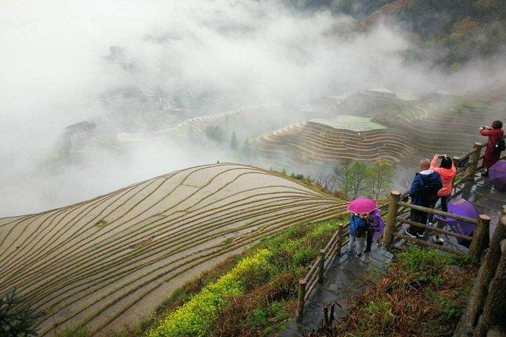 Longji Rice Terraces Field Private Full Day Tour