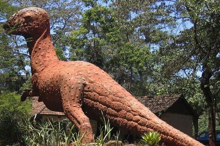 Half-Day Guided Tour to Nairobi National Museum and Snake Park