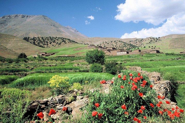 5-daagse privé Atlas Mountains Trek vanuit Marrakech
