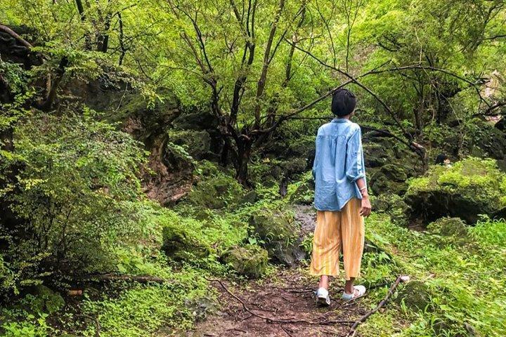 Salalah East Tour (heldagstur)