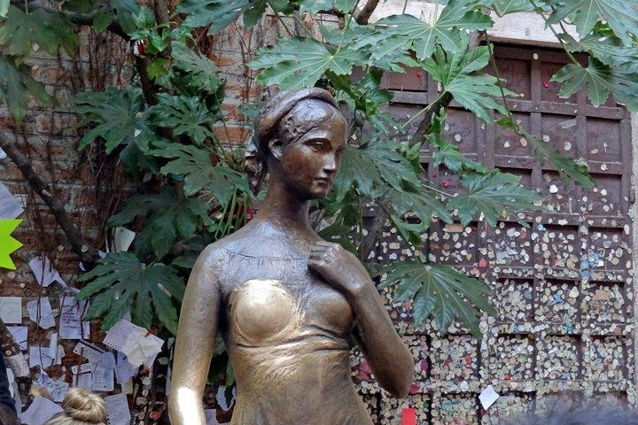 Excursión privada de día completo a Verona desde Milán con recogida