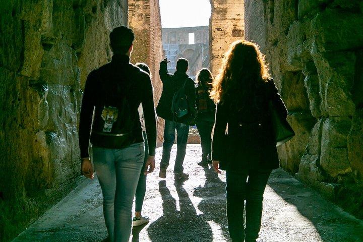 Private Tour of the Colosseum Forums Palatine Hill & Ancient Rome