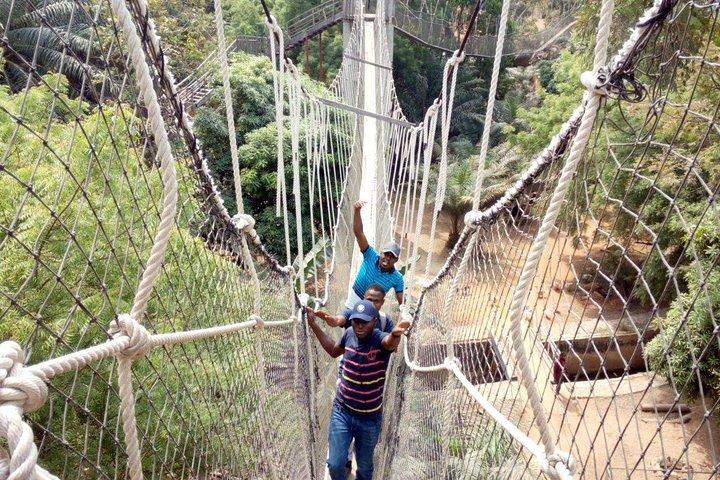 Visite guidée privée d'une demi-journée du centre de conservation de Lekki