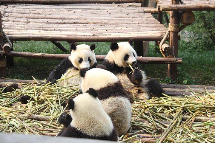 6-daagse China Hoogtepunten Privévliegtuig en autotour vanuit Guilin