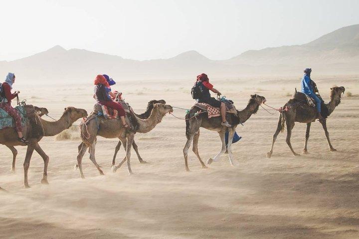Atlas Mountains & Three Valleys, Camel ride, Waterfalls, Day Trip Marrakech