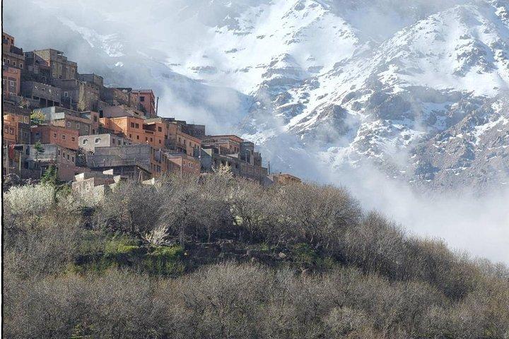 Atlas Mountains & Three Valleys, Camel ride, Waterfalls, Day Trip Marrakech