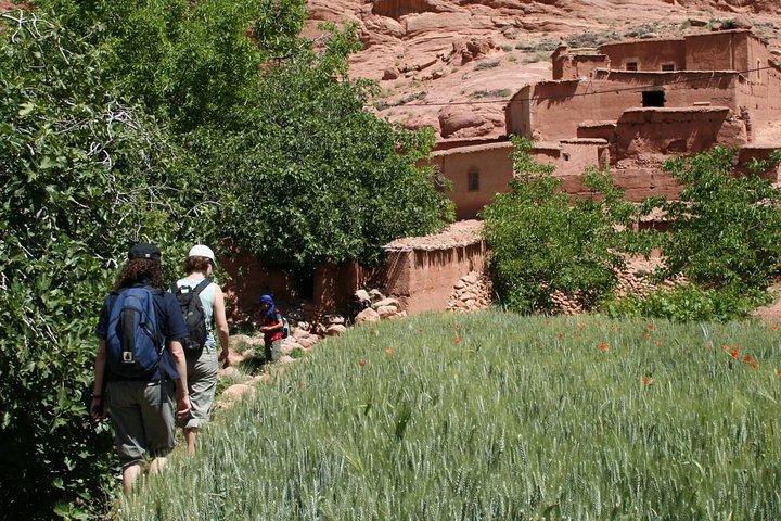 Atlas Mountains & Three Valleys, Camel ride, Waterfalls, Day Trip Marrakech
