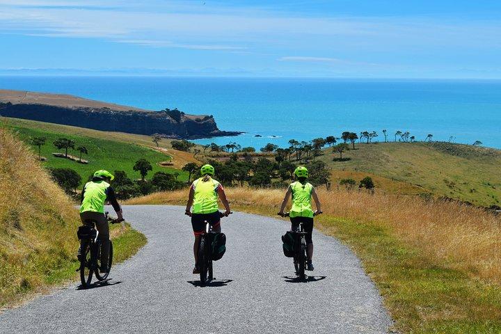 Electric Mountain Bike & Sea Kayak Tour i Akaroa