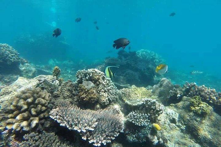 Bali Snorkelen bij Blue Lagoon strand alles inbegrepen