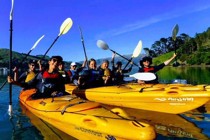 Electric Mountain Bike & Sea Kayak Tour i Akaroa