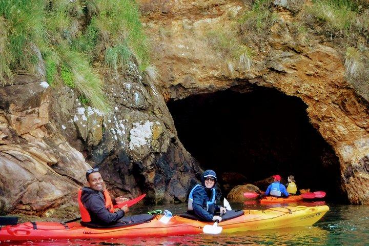 Electric Mountain Bike & Sea Kayak Tour i Akaroa