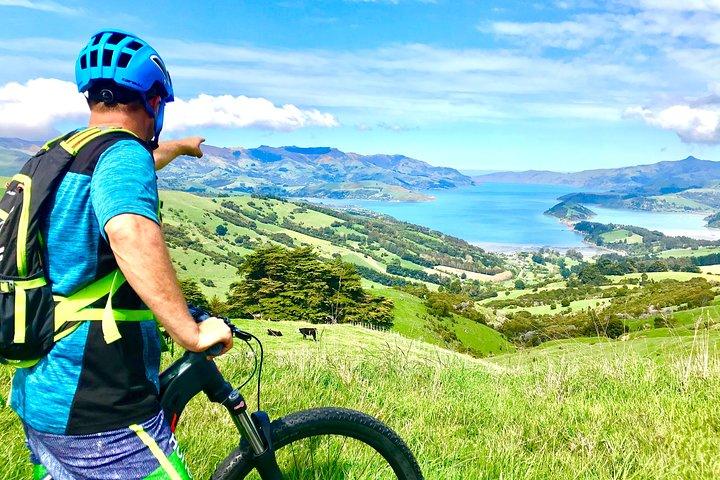 Electric Mountain Bike & Sea Kayak Tour i Akaroa