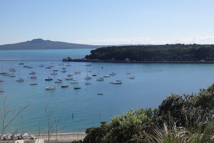 Shore Excursion: Half Day Small Group Auckland Scenic Tour - 4 HOURS