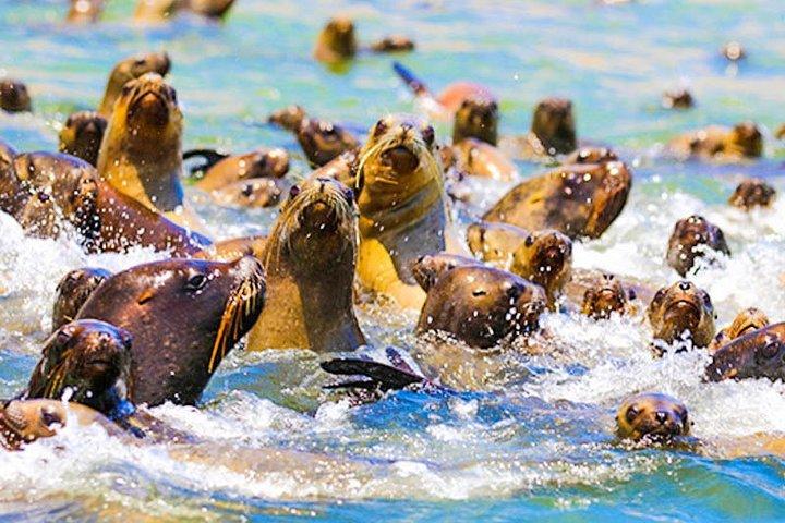 2d1n Paracas Ica Alloggio