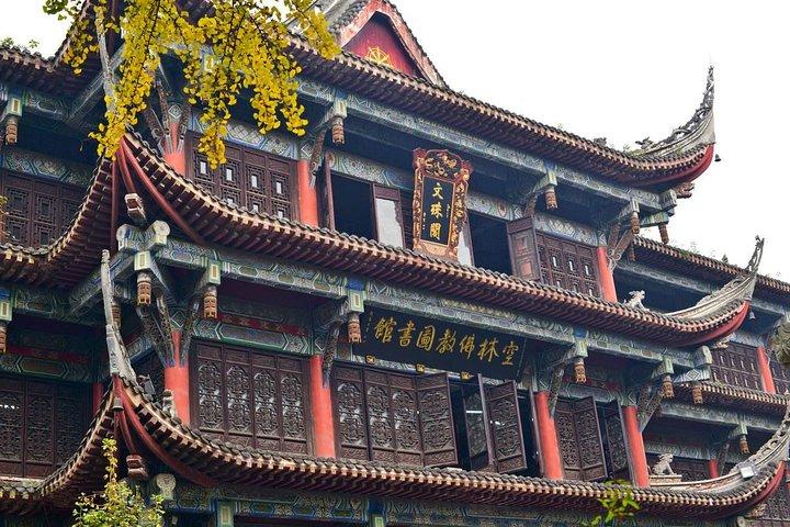 Excursion privée d'une journée à Chengdu: base de Panda et ville de Chongqing en train