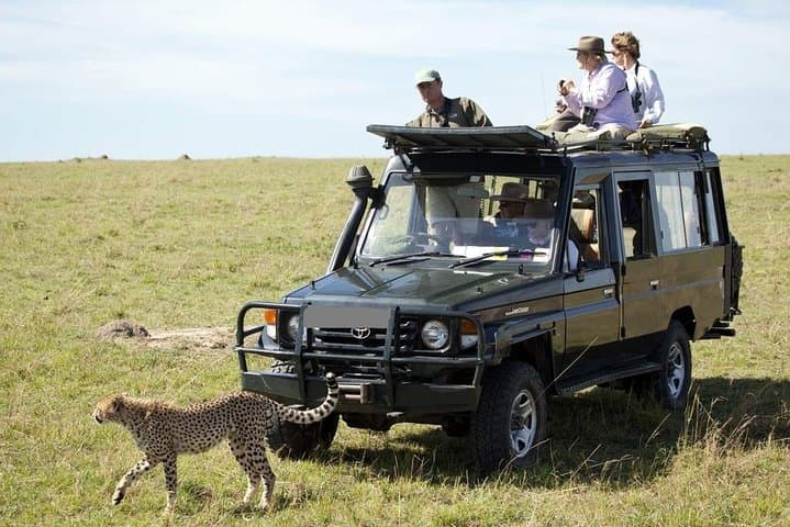 6-Day Best Kenya Safari: Samburu, Lake Nakuru & Masai Mara Park