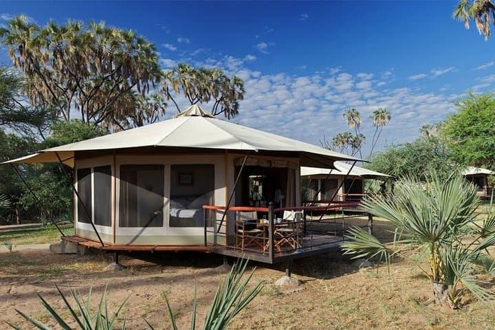 6-Day Best Kenya Safari: Samburu, Lake Nakuru & Masai Mara Park
