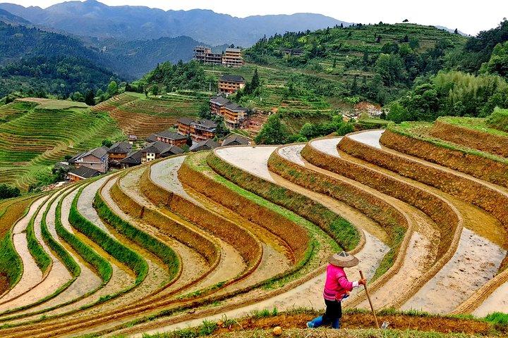 桂林/陽朔ホテルからの1日龍脊棚田ハイキングツアー