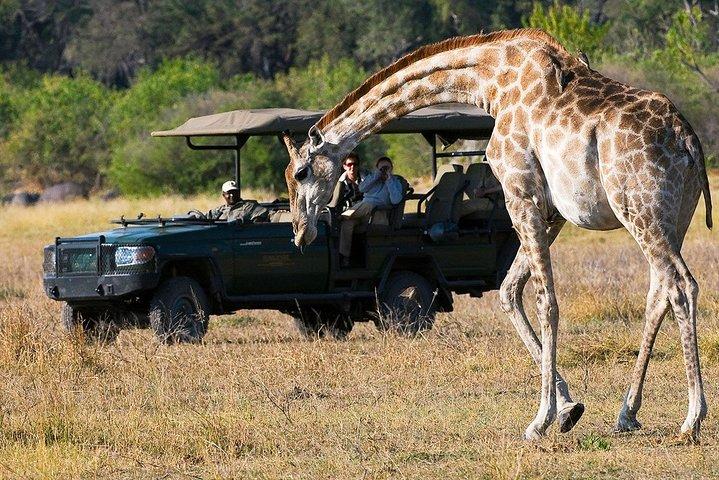 4日間のクルーガー国立公園とパノラマルートのテントサファリ