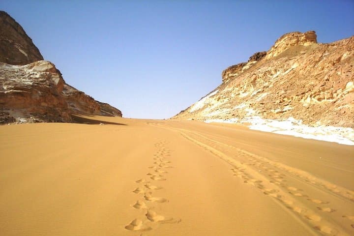 2 Days 1 Night White Desert From Cairo ( private )