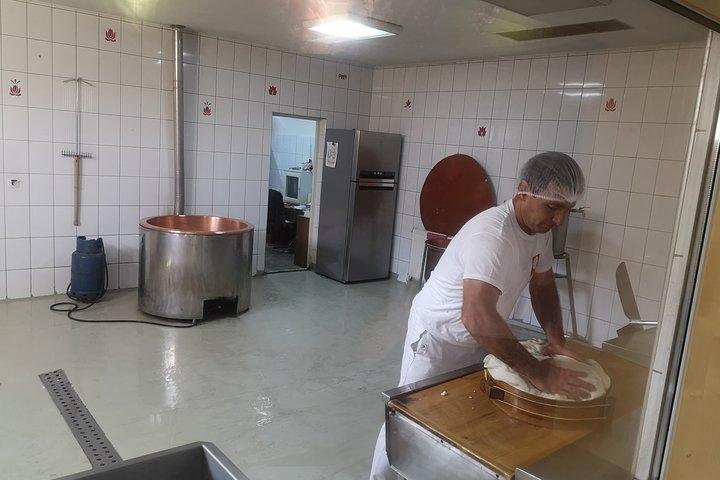 Gita di un giorno alla miniera di sale di Praid con degustazione di formaggi inclusa