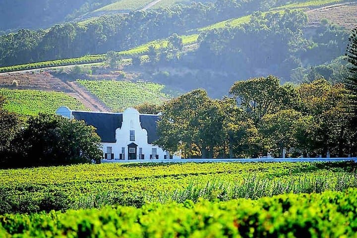 Best of Cape Town Wines - Cape Winelands Tour