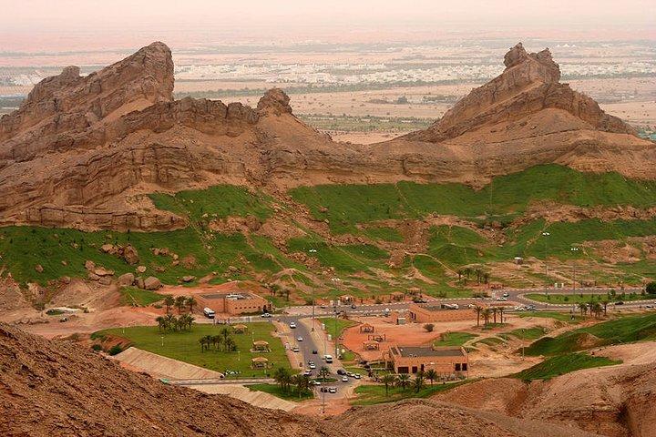 Tour privato di un'intera giornata a Al Ain City da Dubai
