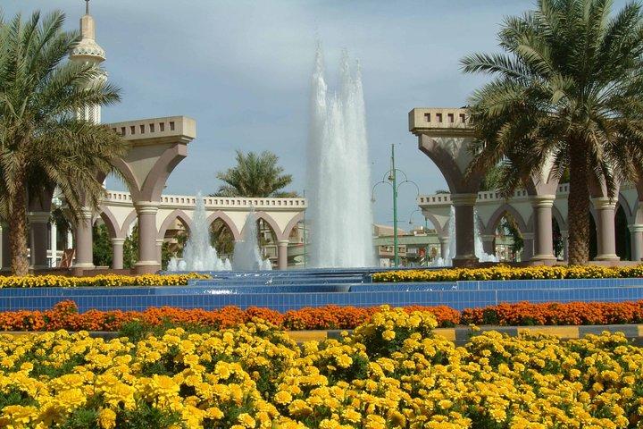 Tour privato di un'intera giornata a Al Ain City da Dubai