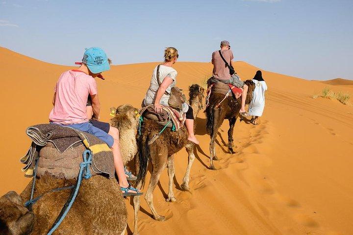 2 - Day Zagora Desert Tour from Marrakech & Camel Ride