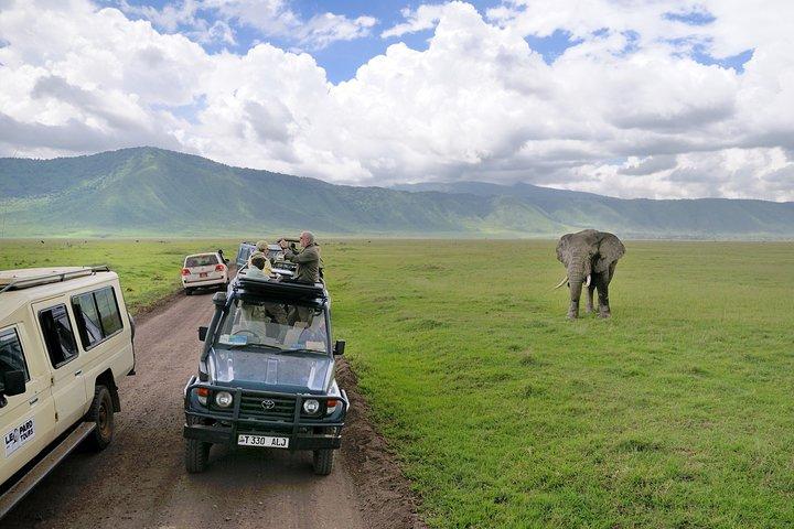 Safari de 2 días en el Lodge con recogida en el hotel en Arusha