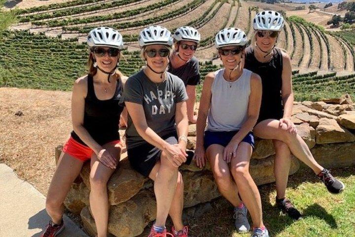 Santa Barbara Vineyard to Table Taste Tour per e-bike
