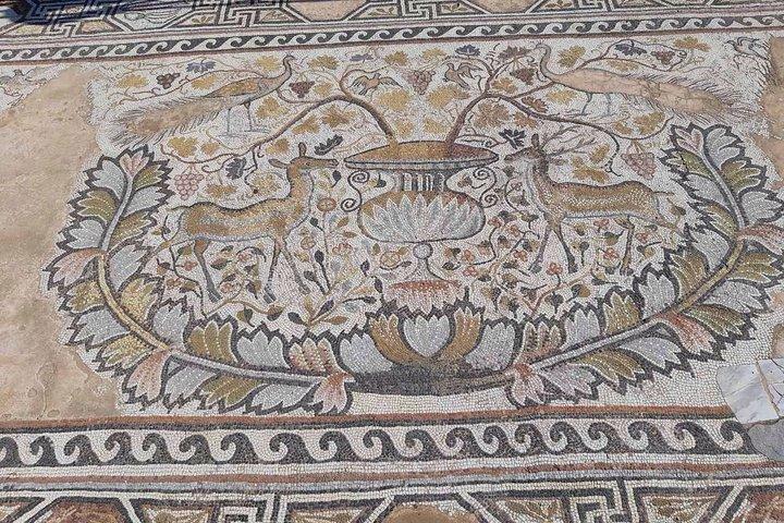 Ganztägige private Tour von Skopje nach Ohrid und Bitola