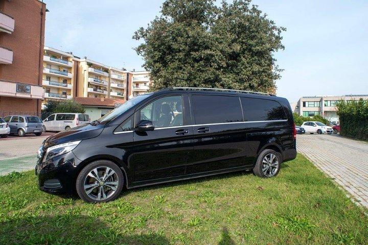 Tour guidato privato di un'intera giornata a Pompei da Roma con pranzo