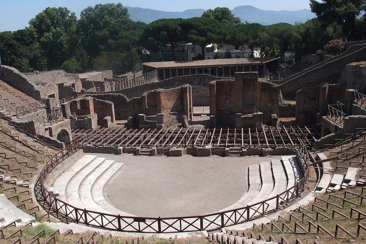Tour guidato privato di un'intera giornata a Pompei da Roma con pranzo