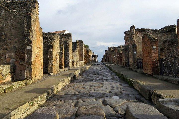 Tour guidato privato di un'intera giornata a Pompei da Roma con pranzo