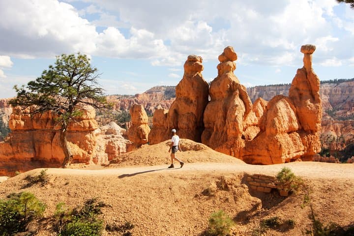 Vegas: Bryce & Zion Luxury Boutique Scenic Tour with Lunch, WiFi