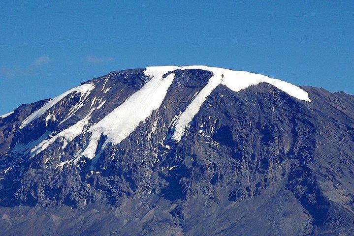 8 dage Lemosho Route Trekking på Kilimanjaro