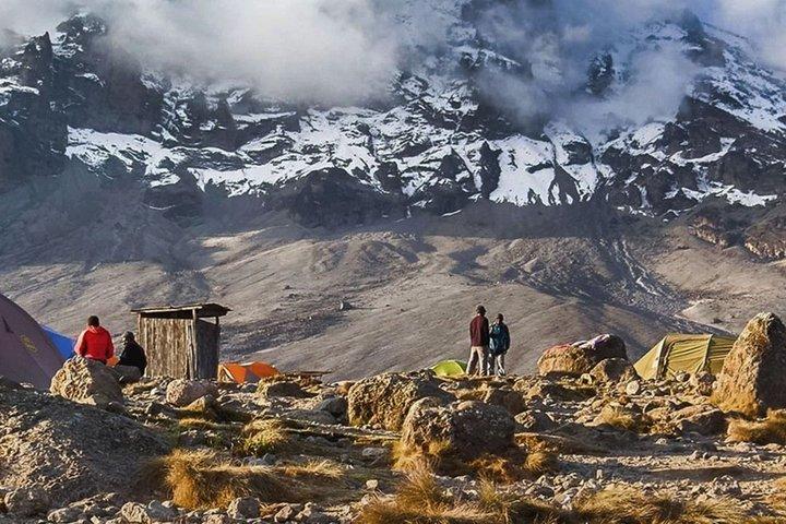 8 dage Lemosho Route Trekking på Kilimanjaro